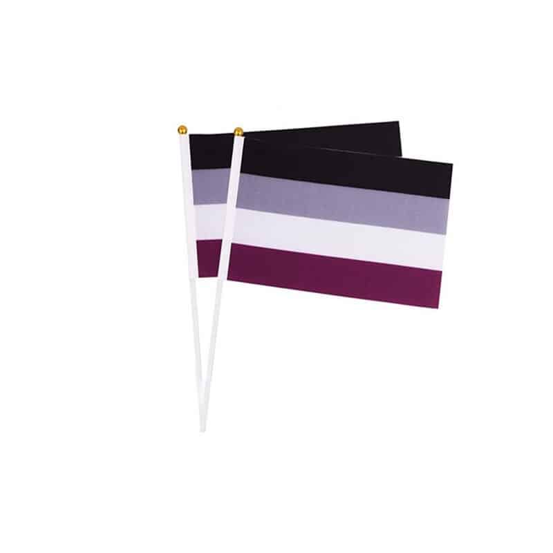 1 flag Asexuality_drapeau-arc-en-ciel-avec-mat-14-x-21-cm-ga_variants-4