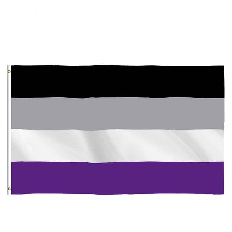 Asexual Pride_flagnshow-drapeau-gay-90-x-150-cm-rainbow-t_variants-7