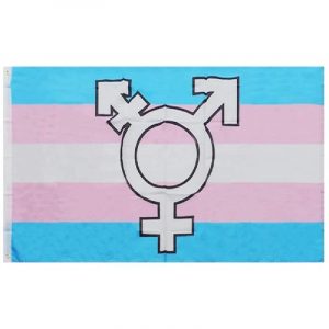 Drapeaux LGBT USA