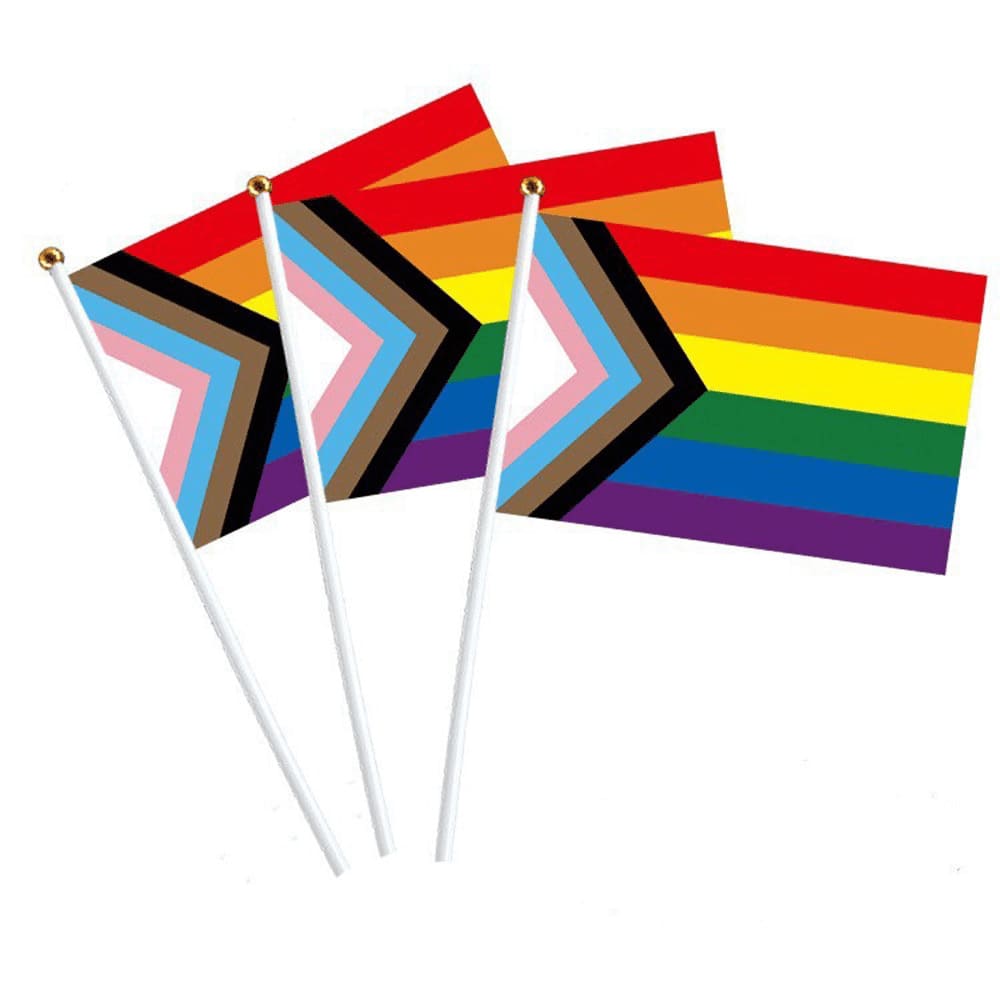 10 Drapeaux LGBT Pride 14x21cm