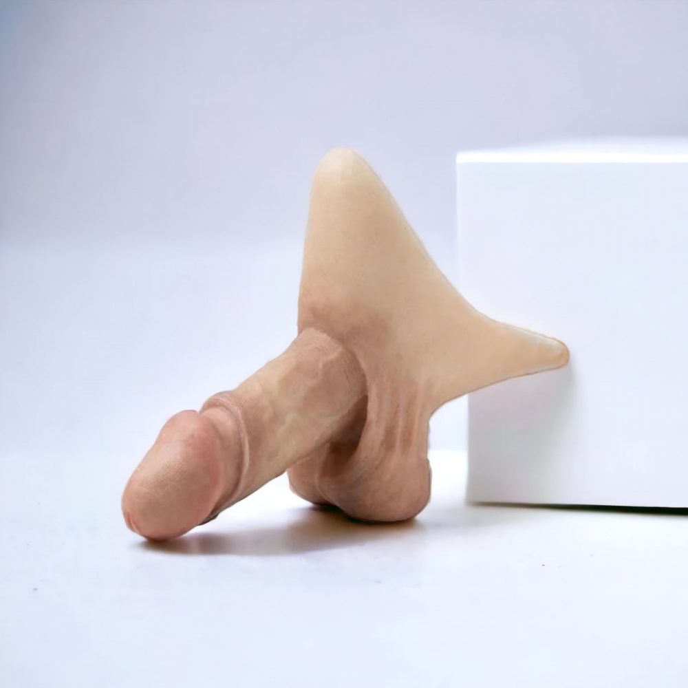 Prothèse de pénis en silicone FTM : La culotte packer parfaite