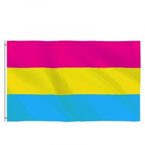 Pansexual Pride_flagnshow-gay-flag-90-x-150-cm-радуга-t_variants-4